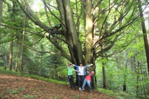 турпоходы в горы