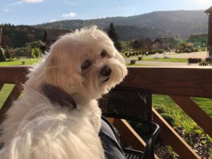 photo_2021-11-14_19-18-40