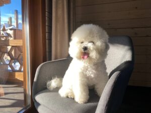 photo_2021-12-10_09-36-56