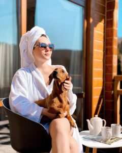 отели с собаками