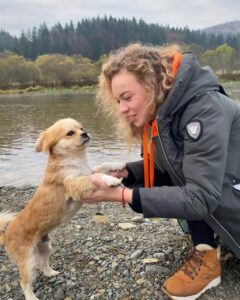 путешествие с собакой в Taor