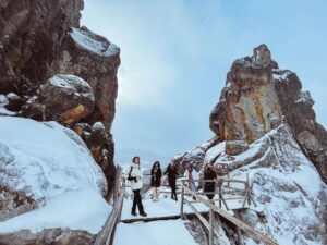 photo_2021-08-05_14-51-03